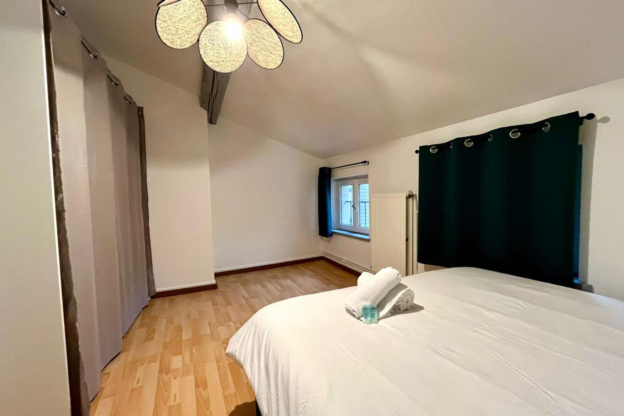 Le Duplex Des Dames Apartment Nancy Luaran gambar