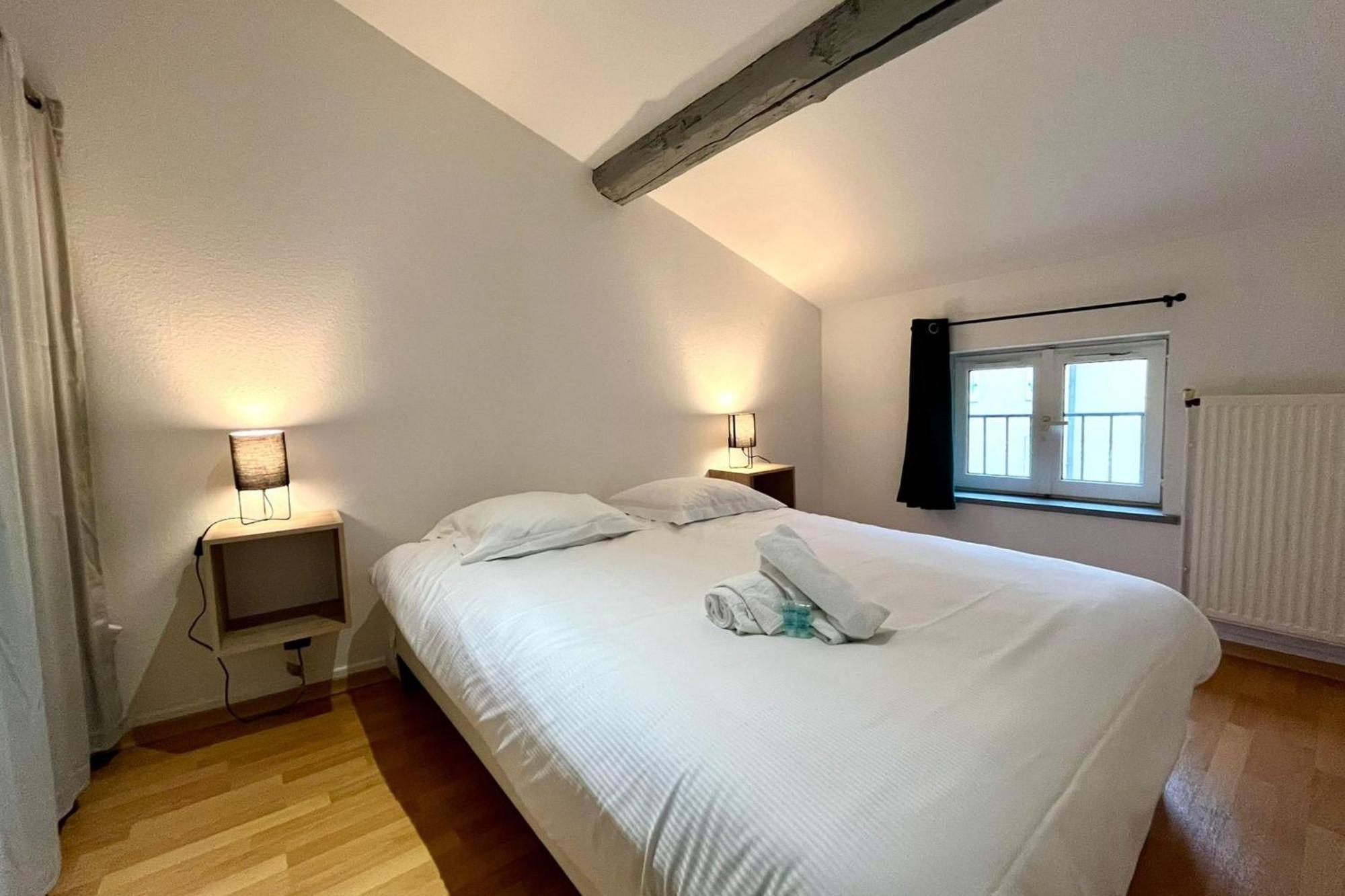 Le Duplex Des Dames Apartment Nancy Luaran gambar
